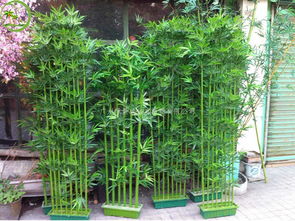 仿真竹子的特点以及用途介绍