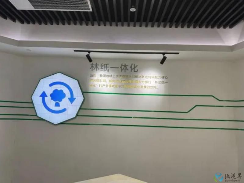 在绿水青山间创新发展,百年造纸厂的华丽转身