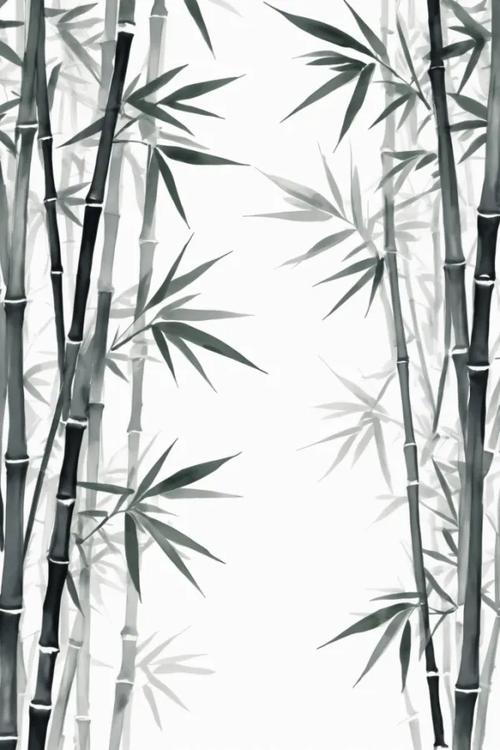 水墨竹林 一纸清幽，千竿风骨
